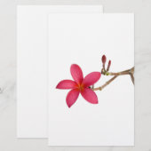 Red Frangipani flower (Front/Back)