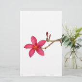 Red Frangipani flower (Standing Front)