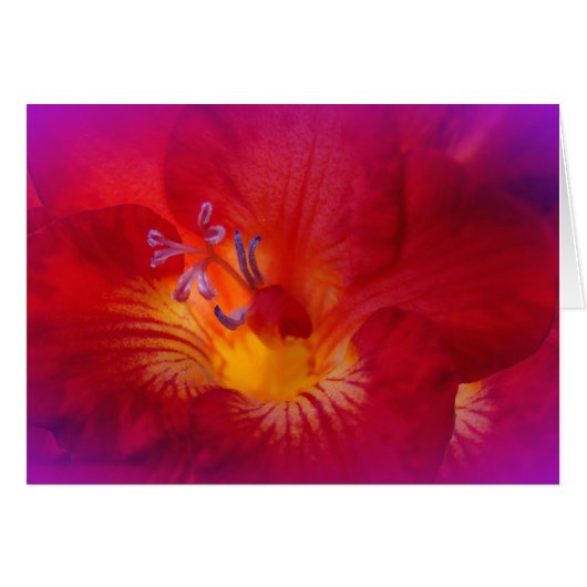 Red Freesia Flower Items Cards (Front Horizontal)