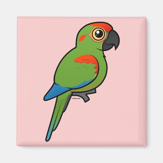 Red-fronted Macaw Magnet (Front)