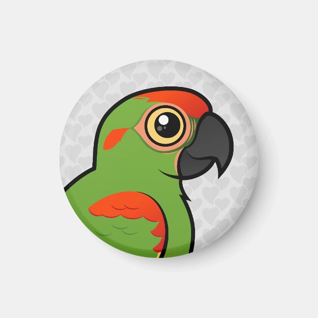 Red-fronted Macaw Magnet (Front)