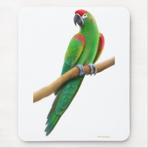 Red Fronted Macaw Parrot Mousepad