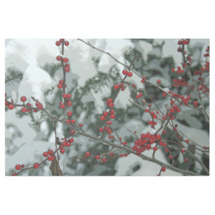 Red Frozen Berries Winter Season Art Gallery Wrap