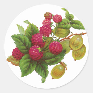 RED FRUITS PRESERVE / RASPBERRIES CLASSIC ROUND STICKER