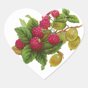RED FRUITS ,RASPBERRY PRESERVE / RASPBERRIES HEART STICKER