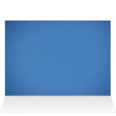 Red Fuchsia Flowers (Inside Horizontal (Top))