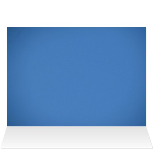 Red Fuchsia Flowers (Inside Horizontal (Top))