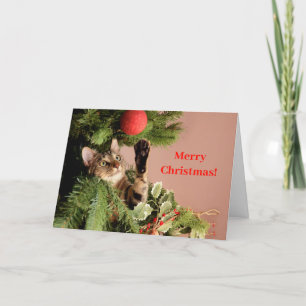 Red Funny Cat Kitten in a Christmas Tree Holiday Card