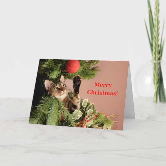 Red Funny Cat Kitten in a Christmas Tree  Holiday Card (Front)