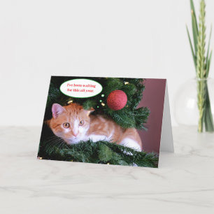 Red Funny Orange Cat in a Christmas Tree Holiday Card