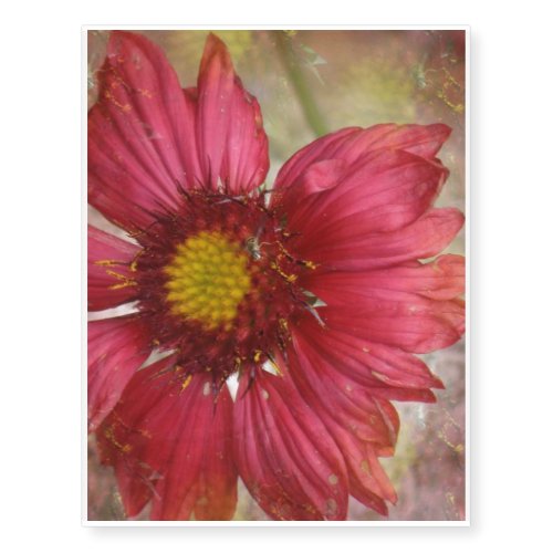 Red Gaillardia Temporary Tattoos