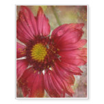 Red Gaillardia Temporary Tattoos