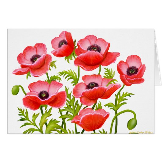Red Garden Poppies Card (Front Horizontal)