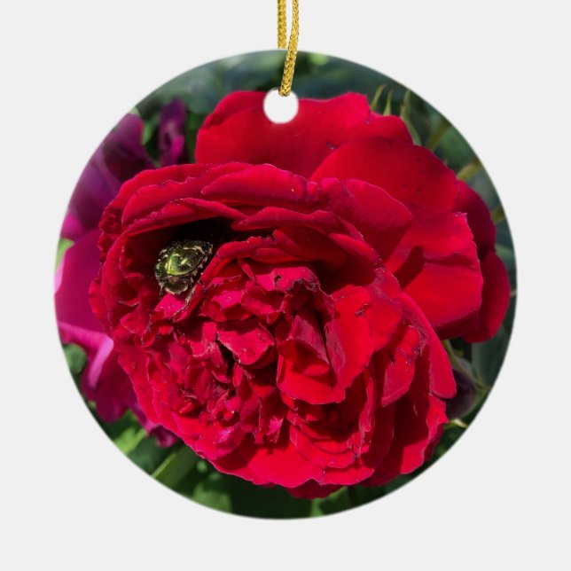 Red garden rose and bug ceramic ornament (Front)