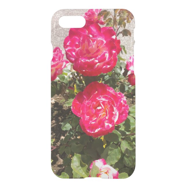 Red Garden Roses Uncommon iPhone Case (Back)