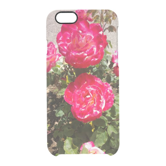 Red Garden Roses Uncommon iPhone Case (Back)