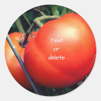 Red Garden Tomatoes Nature Personalized Classic Round Sticker by SmilinEyesTreasures at Zazzle