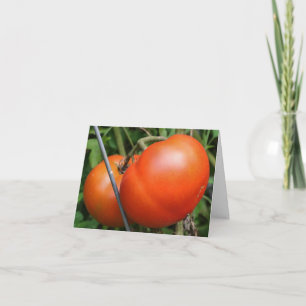 Red Garden Tomatoes Nature Photography Note Card