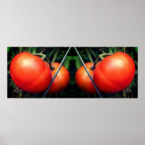 Red Garden Tomatoes On Vine Mirror Abstract Poster