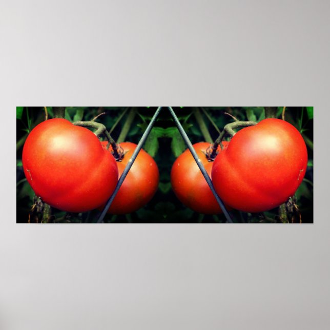 Red Garden Tomatoes On Vine Mirror Abstract Poster (Front)