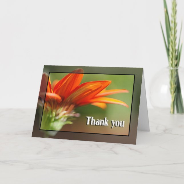 Red Gazania Thank You Card (Front)