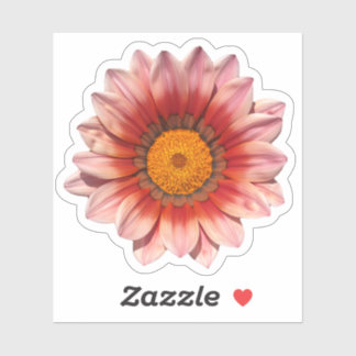 Red Gazania Treasure Flower Blossom Sticker