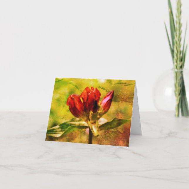 Red Gentian Floral Art Note Card (Front)