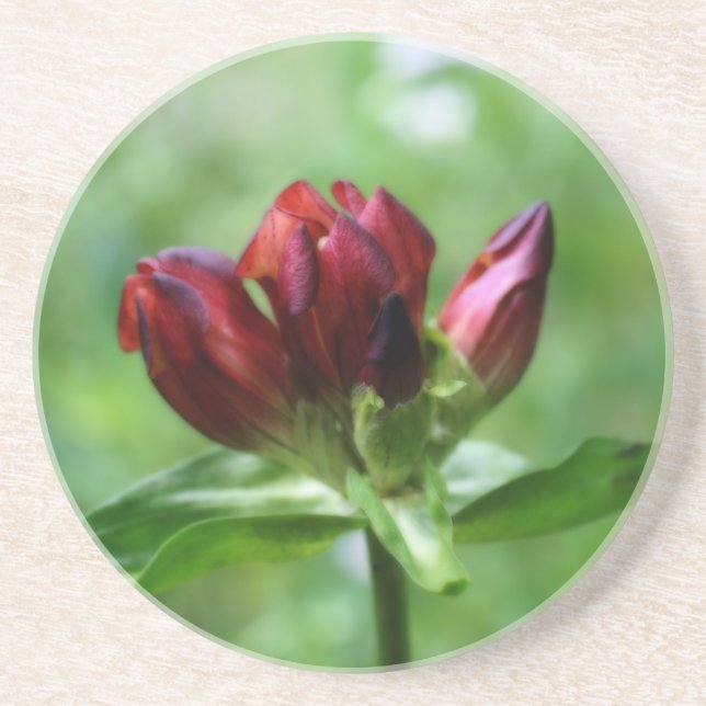 Red Gentian Floral Coaster (Front)