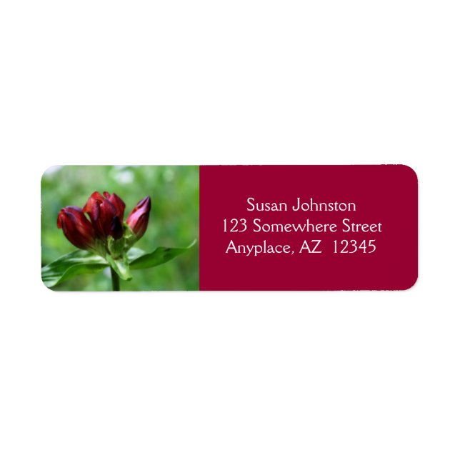 Red Gentian Flower Address Label (Front)