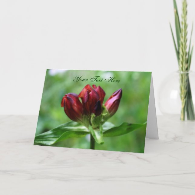 Red Gentian Flower Photo Card (Front)