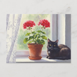 Red Geranium and Black Cat Postcard