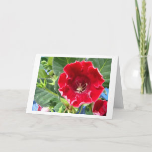 Red Geranium, Beautiful Friend Thank You Card