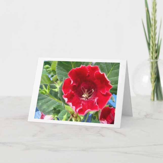 Red Geranium, Beautiful Friend Thank You Card (Front)