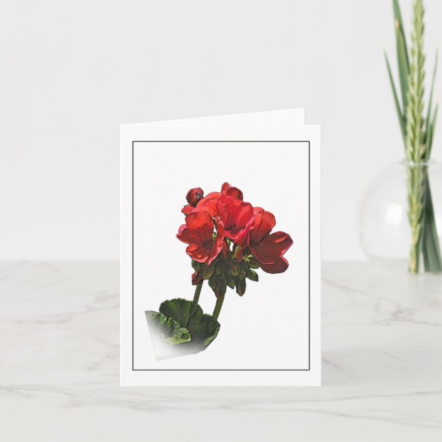Red Geranium Botanical Sketch Note Card (Front)