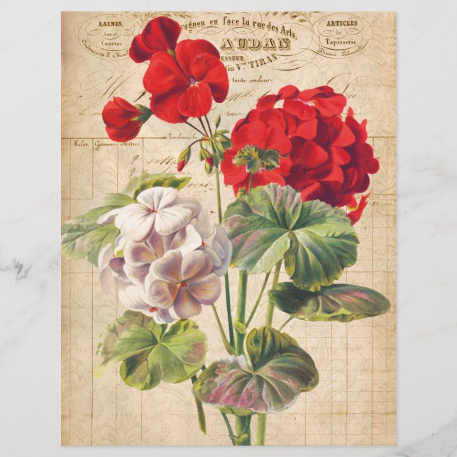 Red Geranium Collage Scrapbook Paper (Front)