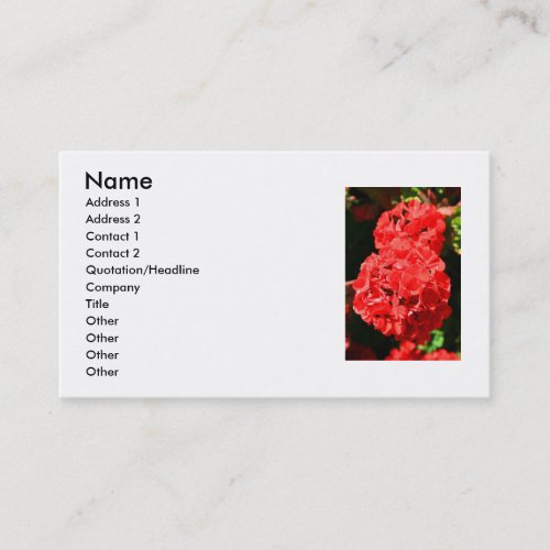 Red Geranium Flowers Business Card