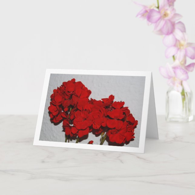 Red Geranium Flowers, Floral Portrait Card (Orchid)