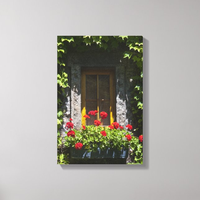 Red Geranium Flowers Window Box Canvas Print (Front)