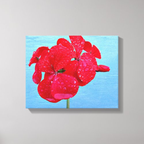 Red Geranium on Bright Blue Wall Canvas Print