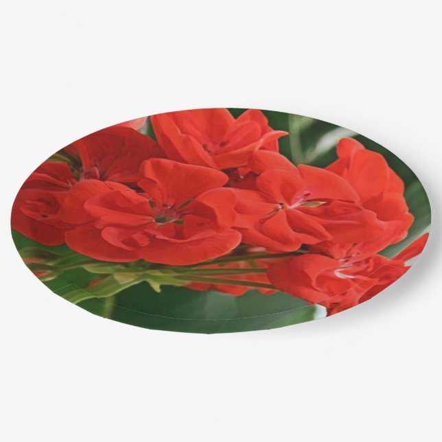 Red Geranium Paper Plates (Angled)