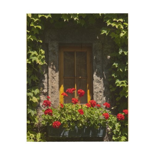 Red Geranium Window Box Wood Canvas Print