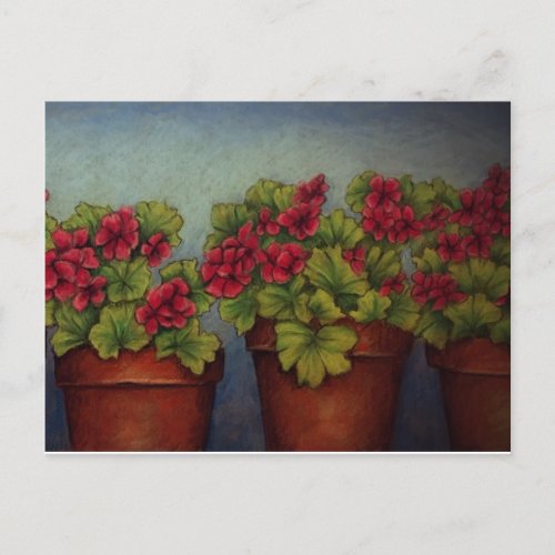 Red Geraniums in clay pots Postcard