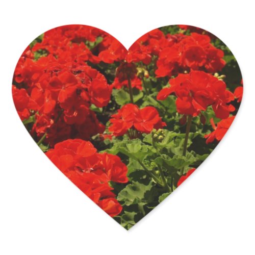 Red Geraniums Stickers