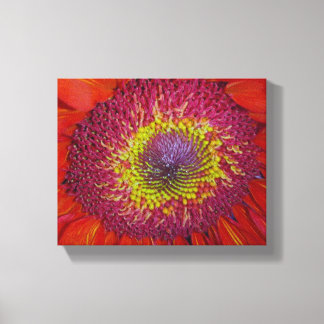 Red Gerber Daisy Canvas Print