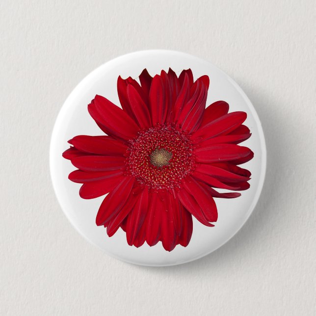 Red Gerber Daisy Close Up Photograph Pinback Button (Front)
