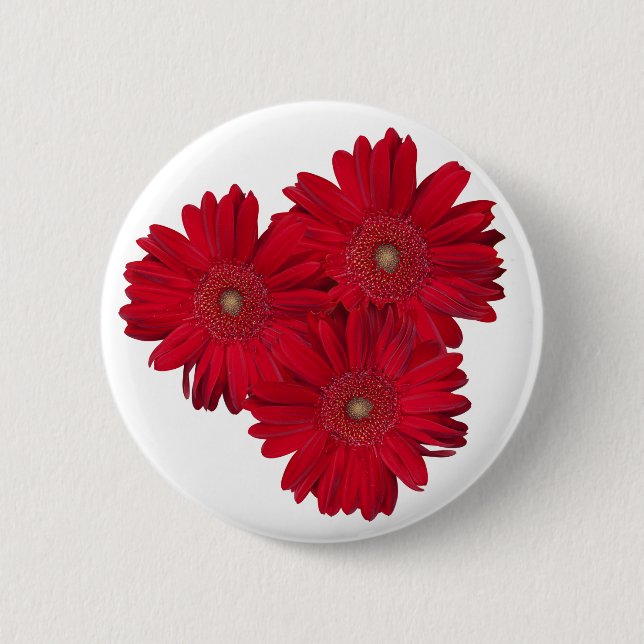 Red Gerber Daisy Close Up Photographs Button (Front)