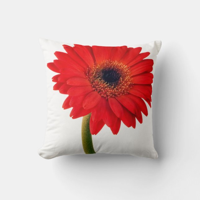 Red  Gerber Daisy Flowers Floral Daisies Flower Throw Pillow (Front)
