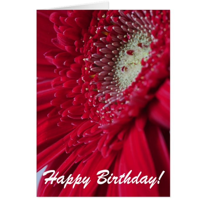 Red Gerber Daisy Happy Birthday Card