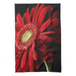 Red Gerber Daisy Kitchen Towel