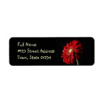 Red Gerber Daisy Return Address Label